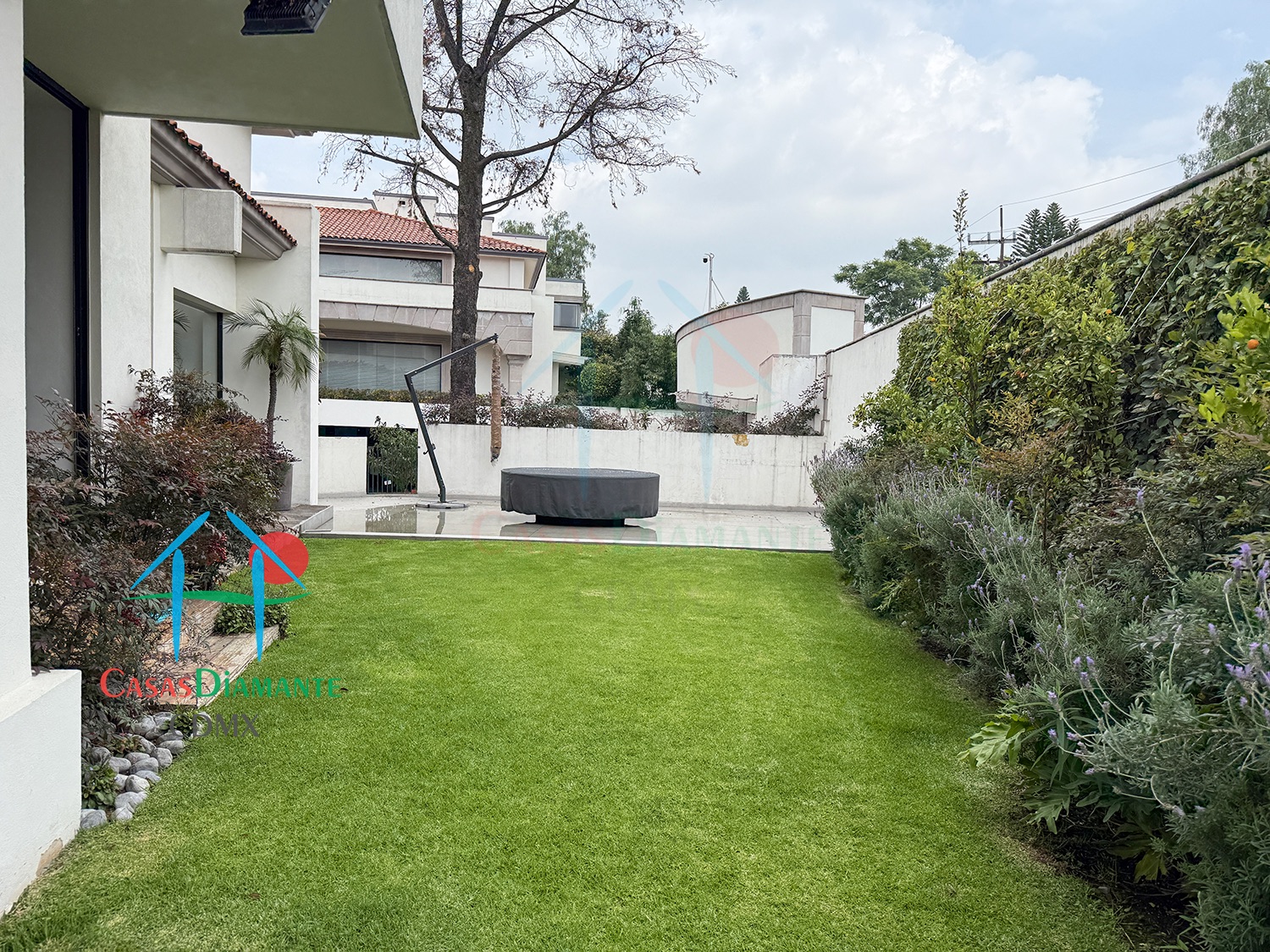 Jardines del Pedregal Casa Árbol B - Jardín 1